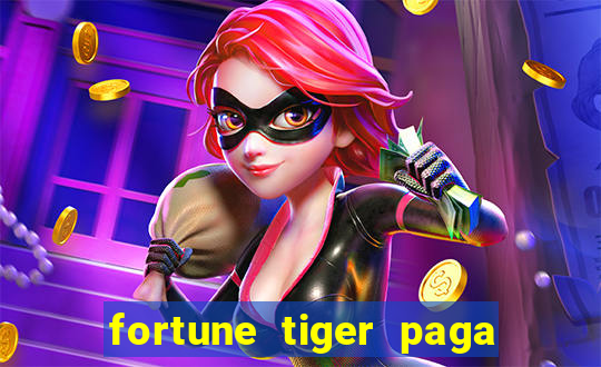 fortune tiger paga de madrugada